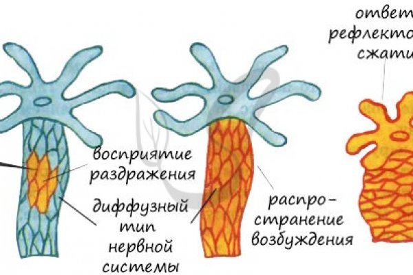 Даркнет заказать монстра